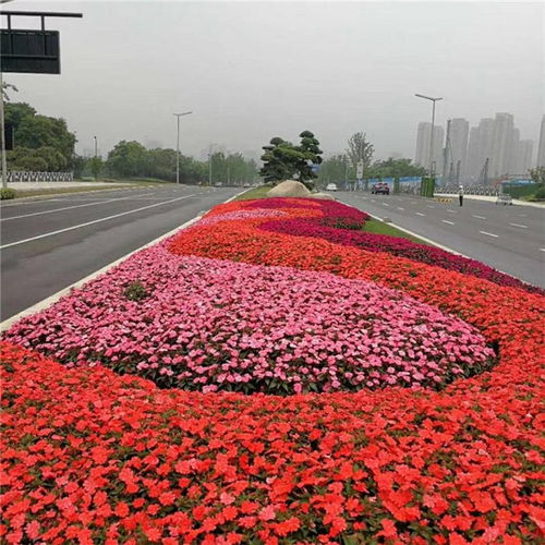 杭州園林綠化工程施工 如何確保價(jià)格合理與質(zhì)量卓越