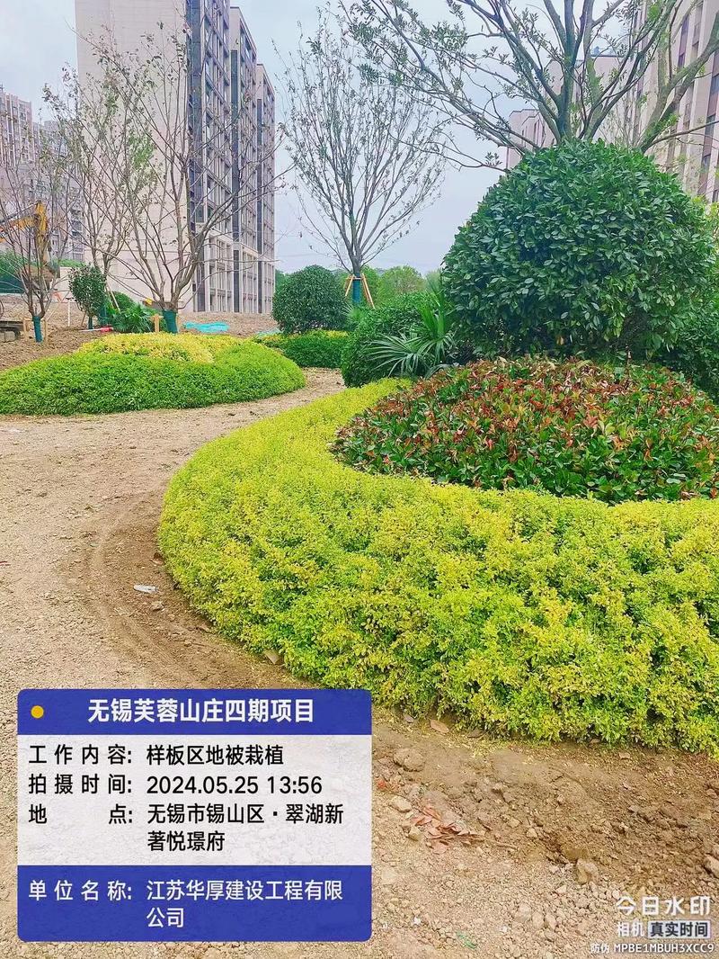 專業(yè)的事交給專業(yè)的人 園林綠化工程施工的現(xiàn)場真諦