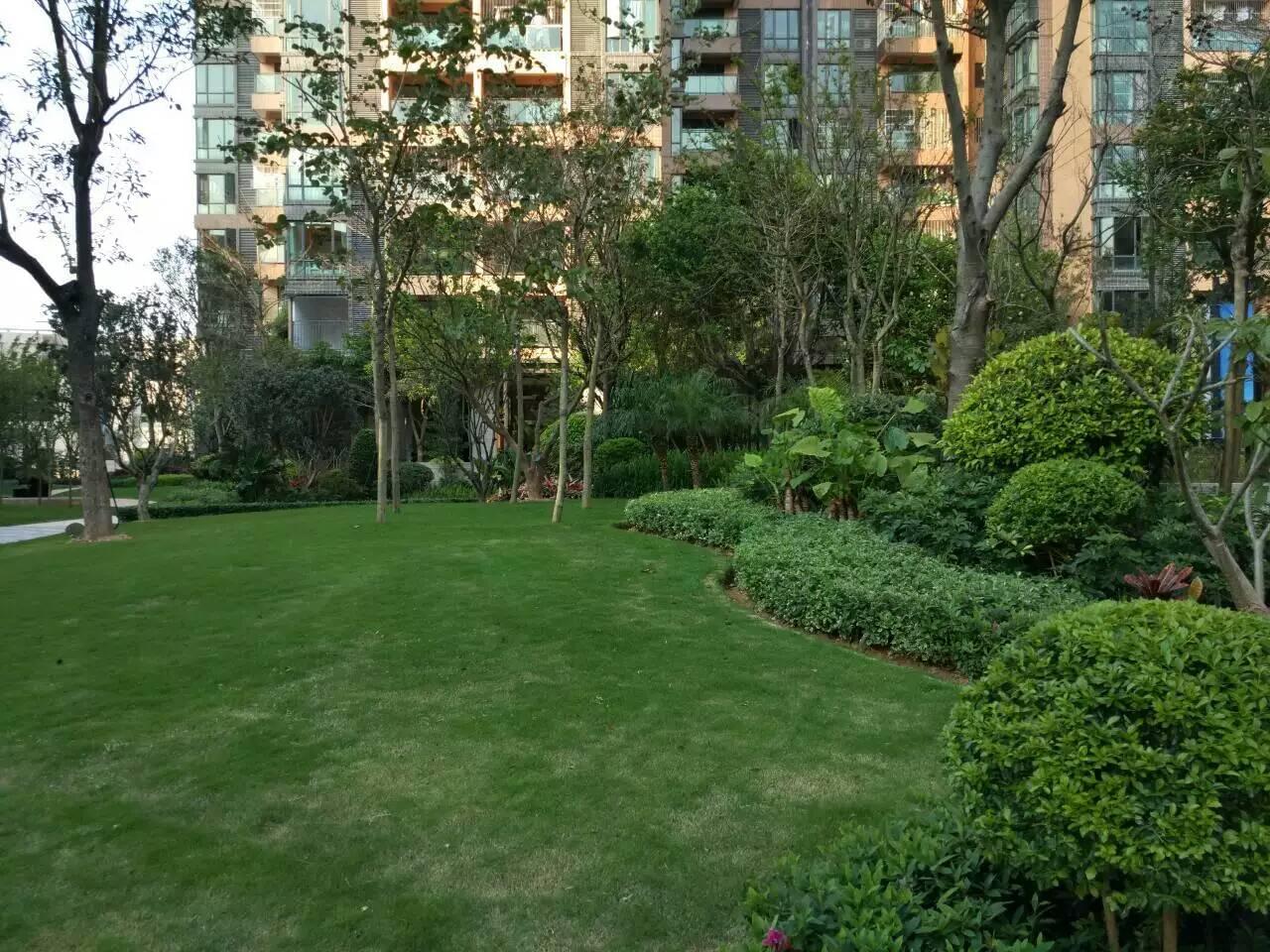 深圳園林工程施工現(xiàn)場管理 園林綠化工程施工的關(guān)鍵環(huán)節(jié)